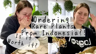 Ordering & Unboxing Houseplants from GREENSPACES.ID | Inexpensive Houseplants Online!?