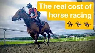 BEFORE YOU BUY A RACEHORSE WATCH THIS VIDEO