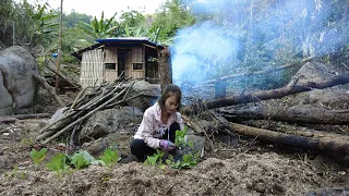 How To Techniques of soil preparation for growing vegetables - Survival Camping Alone In The Forest