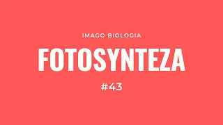 Fotosynteza