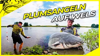 EINFACH auf WELS ohne Boot - Plumsangeln in Deutschland am Fluss!