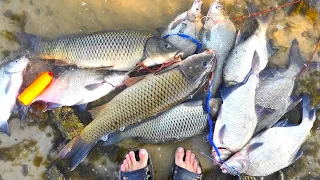 Big fish just for a worm BREAM, CARP!!!! Fishing in autumn on the river