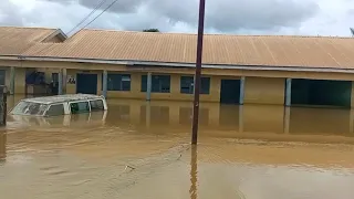 Disastrous Flood In Ogbaru Anambra State, Nigeria. || Nigeria Keeps Flooding As Cameroon Opens Dam