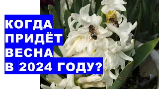 Коли прийде ВЕСНА 2024 року? When will SPRING come in 2024?Weather forecast for spring 2024