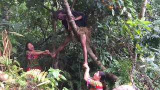 Primitive Life : Forest People Pick Fruits Meet Ethnic Girls Picking Leaves