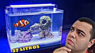 MONTANDO UM AQUÁRIO NANO MARINHO PARA INICIANTES