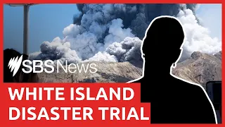 White Island Trial: Australian Annie Lu testifies about ordeal after volcanic eruption | SBS News