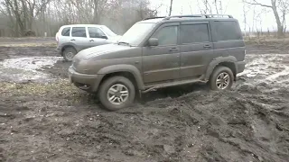 пересчет зайцев