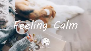 Feeling Calm - Indie/Folk/Pop Compilation | January 2021