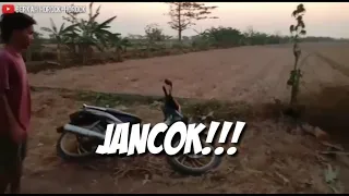 STORY WA JAWA LUCU-KATA EMAK