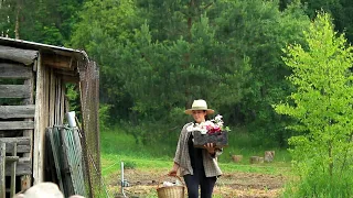 Old house renovation in village. Working in the Rain.