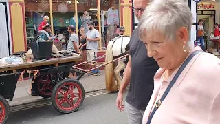 TRAVELLER'S Horse & Cart visit CAPTIVATE Totnes
