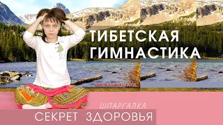 Тибетская гимнастика в постели - видео для оздоровления и долгожительства, не гормональная