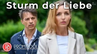 Großer Abschied? Verlässt Robert Sturm der Liebe? • PROMIPOOL