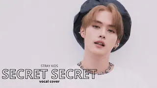 Stray Kids "Secret Secret 말할 수 없는 비밀" (vocal cover)