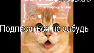 Клип Лови мой хедшот