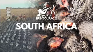 Amazing Bird Hunting Safari In South Africa (4k Video) -  صيد الطيور البرية في جنوب أفريقيا