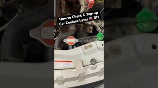 How to check coolant level #car #cars #carlover #modifiedcars #shorts #youtubeshorts #trending #diy