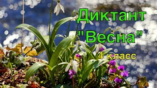 ВПР по русскому языку в 4 классе. Диктант и 2 задания к нему. Вариант 4