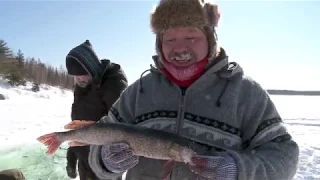 Gill Net Fishing in Nisichawayasihk Cree Nation