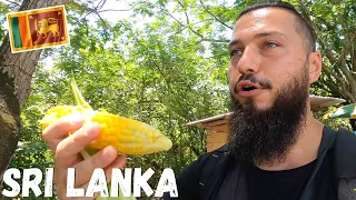 SRI LANKA | Would You Try This $0.30 Corn In Weligama? 🇱🇰