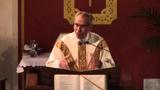 Sixth Sunday of Easter (Year B) - Fr. Hahn