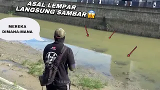 Harus bawa karung kalau mancing nemu spot seperti ini