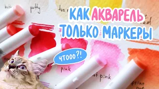 Обзор АКВАРЕЛЬНЫХ маркеров Sketchmarker | Colored Dreams 36 set