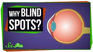 Why Do We Have Blind Spots?