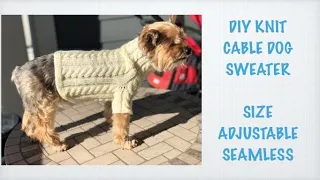 DIY KNIT DOG SPECIAL CABLE SWEATER