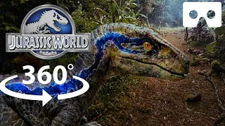 360° 3D Jurassic World | Blue VR | Jurassic Park Dinosaurs