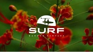 Surf Rancho Santana, Nicaragua- Flow