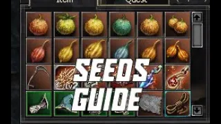 L2 Elite - "Seed" Guide