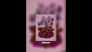 Teya Dora-Ramonda(sped up)