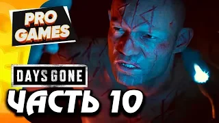 Месть ДИКОНА и БУХАРЯ КАРЛОСУ — DAYS GONE [ЖИЗНЬ ПОСЛЕ] прохождение #10