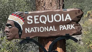 В одиночку по Америке🇺🇸! Sequoia national park