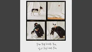 Your Dog Loves You (Feat. Crush)