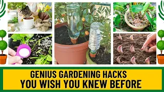 Genius Gardening Hacks That Actually Work