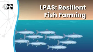 LPAS: Could a live plankton analysis system improve climate resilience in fish farms?