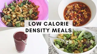 What I Ate Today ♥ Low Calorie Density Meals for Healthy Weight Loss