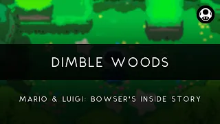 Mario & Luigi: Bowser's Inside Story: Dimble Woods Orchestral Arrangement