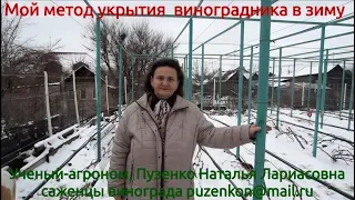 Укрытие виноградника в зиму- как сделать его легко и качественно? (Пузенко Наталья Лариасовна)