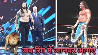WWE Superstars Who Brought Animals to The Ring | Roman Reigns Entry with Lion |