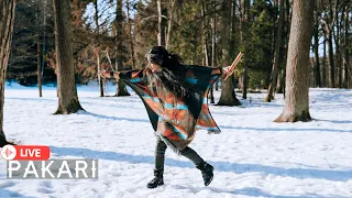 Pakari(Yupanki)- The New Begining/Live Native Music