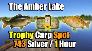 🎣Russian Fishing 4 RF4 - The Amber Lake Hot Spot Active Trophy Carp With SweetCorn-Sunflower #300