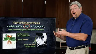 How Does Photosynthesis Work? - Dr. Kurt Wise, Devotional Biology