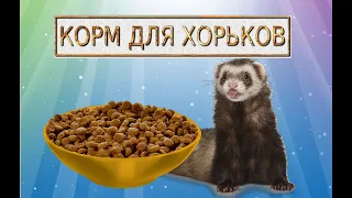 Как и чем кормить хорька!Корма для хорьков!Обзор кормов!