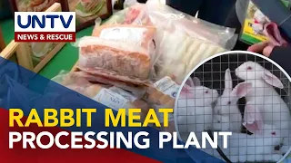 Unang rabbit meat processing plant sa Pilipinas, itatayo ngayong 2023 – DOST