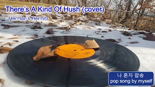 67년 Herman’s Hermits의 발표곡, 'There’s A Kind Of Hush' (cover)