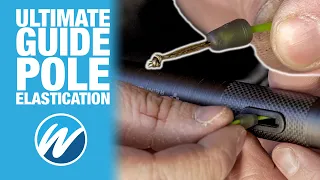 Elasticate Your Pole | The Ultimate Guide | Make Your Own Dacron Connector